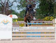 ARIOLDI F AGADIR ItaAss2013- S5 1249 : AGADIR, ARIOLDI FRANCESCA, Campionati Italiani 2013, Cattolica, Horse Riviera Resort, foto di Stefano Secchi ©